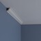 Ekena Millwork 1 1/2"H x 1 1/2"P x 2 1/8"F x 94 1/2"L Ashford Smooth Mini Crown Moulding MLD01X01X02AS - alternate 7